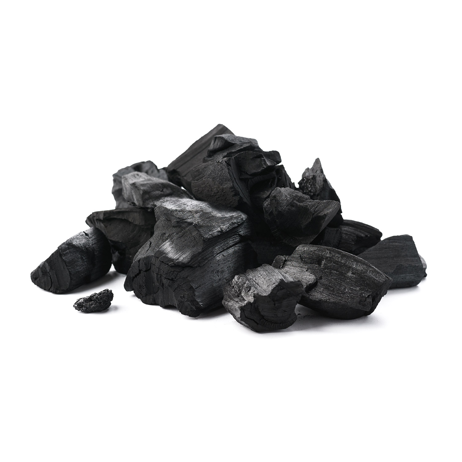 Charbon végétal activé